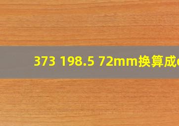 373 198.5 72mm换算成cm